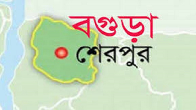 বগুড়ার শেরপুরে র‌্যাবের অভিযানে ১০০ কেজি গাঁজা সহ প্রাইভেটকার আটক