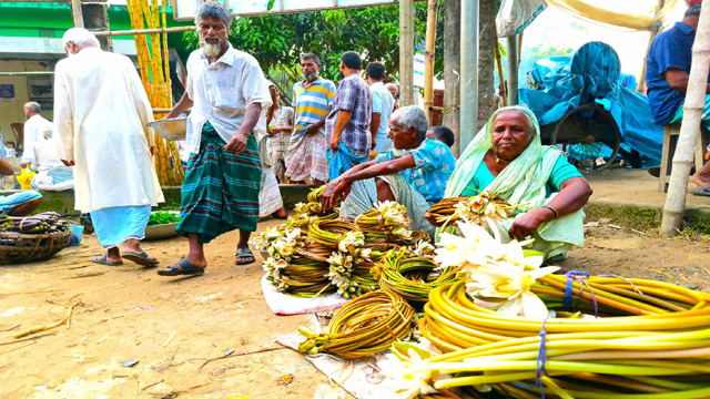 শাপলায় চলে শত শত অসহায় মানুষের সংসার