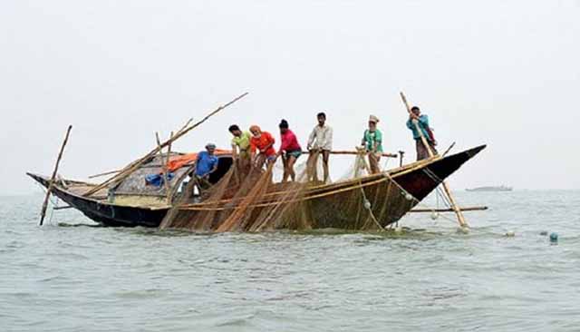 লক্ষ্মীপুরের মেঘনায় ২২ দিন ইলিশ ধরা নিষেধ