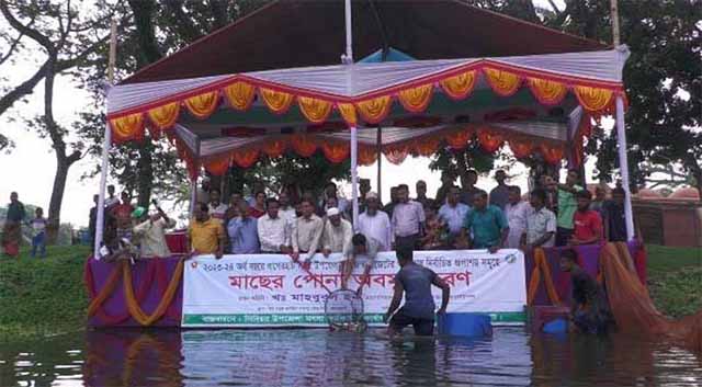 চিংড়ি চাষিদের বিমার আওতায় আনা হবে