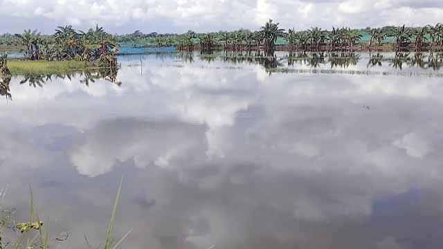 চাঁদপুরের ফরিদগঞ্জে সবচেয়ে বেশি ক্ষতি মৎস্য খাত