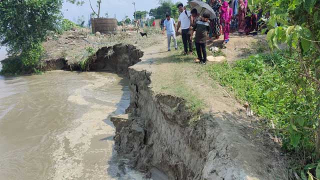 পদ্মার ভাঙনে বিলীন ১০ বসতভিটা-৩০ একর ফসলি জমি