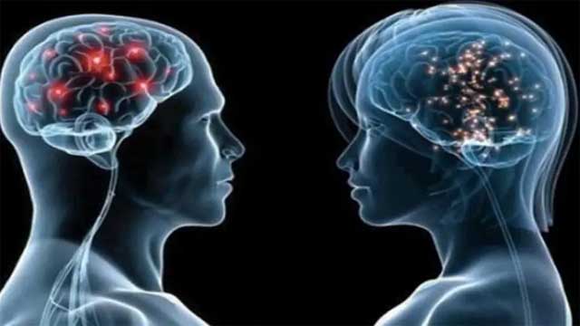 গোপনে মস্তিষ্কের কার্যক্ষমতা কমিয়ে দেয় যেসব খাবার