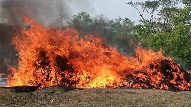 বরগুনায় ৩৫ লাখ টাকার অবৈধ বেহুন্দি জাল ধ্বংস