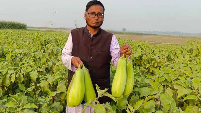 এটি লাউ নয় বেগুন ‘লাউ বেগুন’ : কৃষক এরশাদ