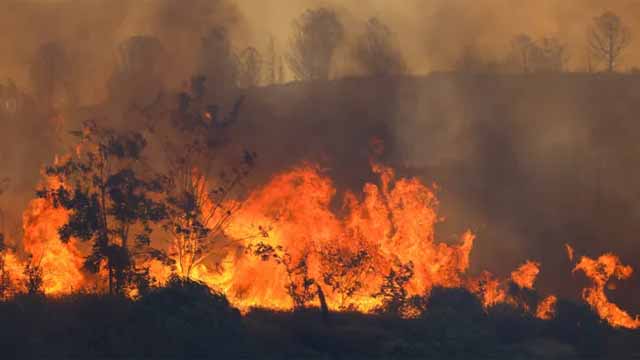 তুরস্কে দাবানলে নিহত ১১