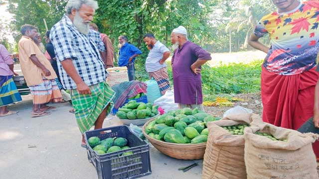 ময়মনসিংহে কৃষকের উৎপাদিত ৪০ টাকার সবজি হাতবদলে তিনগুণ