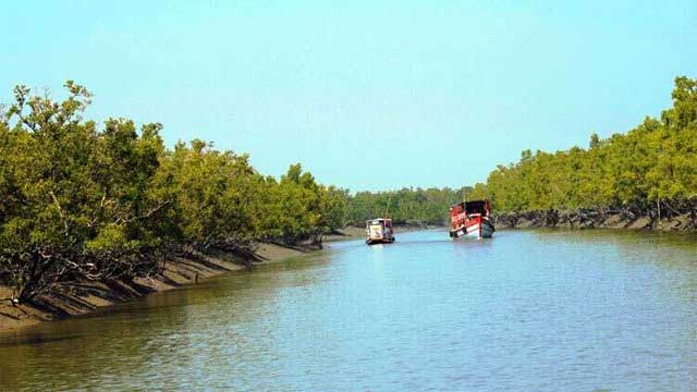 সুন্দরবনের ১০ কিমির মধ্যে শিল্প স্থাপন নিষিদ্ধ