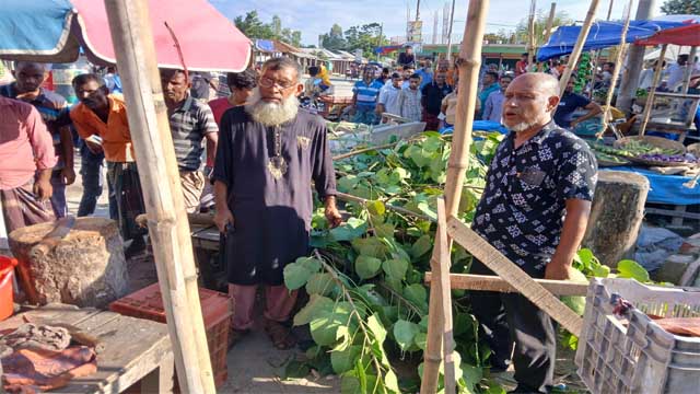 সোনাতলায় প্রশাসনকে বৃদ্ধাঙ্গুলী দেখিয়ে পাইকর গাছ কর্তন