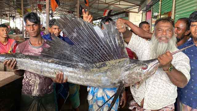 মেঘনায় ধরা পড়ল দুটি পাখি মাছ, দেখতে স্থানীয়দের ভিড়