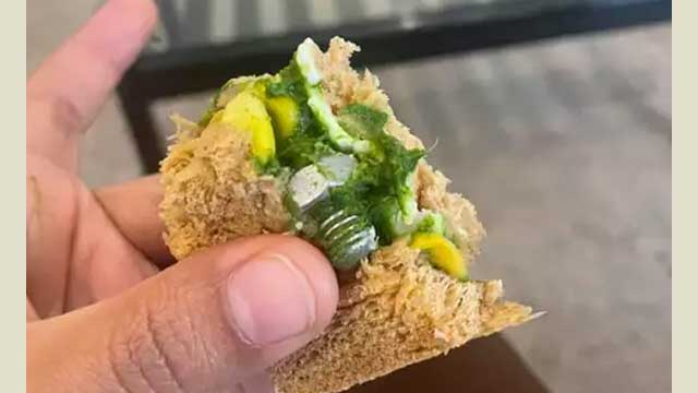 বিমানের স্যান্ডউইচে মিলল স্ক্রু