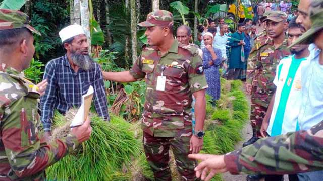 লক্ষ্মীপুরে বন্যায় ক্ষতিগ্রস্ত কৃষকদের ধানের চারা দিল সেনাবাহিনী