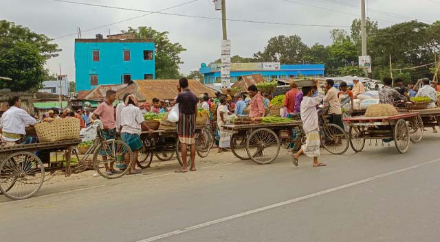 রায়পুরার জঙ্গী শিবপুর সবজির হাটে ক্রেতা-বিক্রেতাদের পদচারণার ভিড়