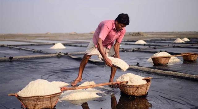 লবণের দাম না পাওয়ার শঙ্কায় চাষিরা