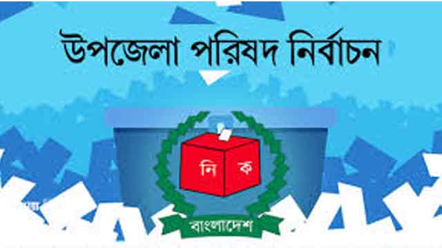 ফুলবাড়ীতে জমে উঠেছে উপজেলা নির্বাচনের প্রচারণা