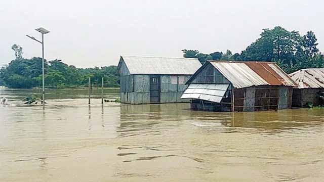 উত্তরের দুই জেলায় বন্যায় কৃষকের ক্ষতি শতকোটি টাকা