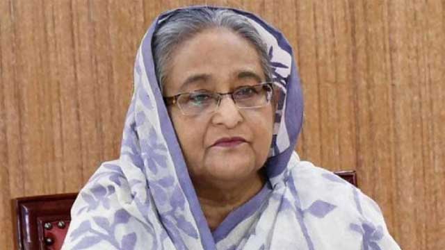 হলফনামায় ২২ একর জমির তথ্য গোপন করেছিলেন শেখ হাসিনা