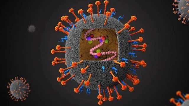 ভারতে ছড়াচ্ছে নিপাহ ভাইরাস, পাকিস্তানে সতর্কতা জারি